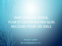 PDF Hyperbarie CHU Sud