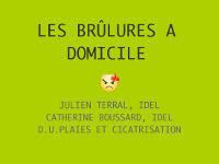 Les brulures par Julien Terral